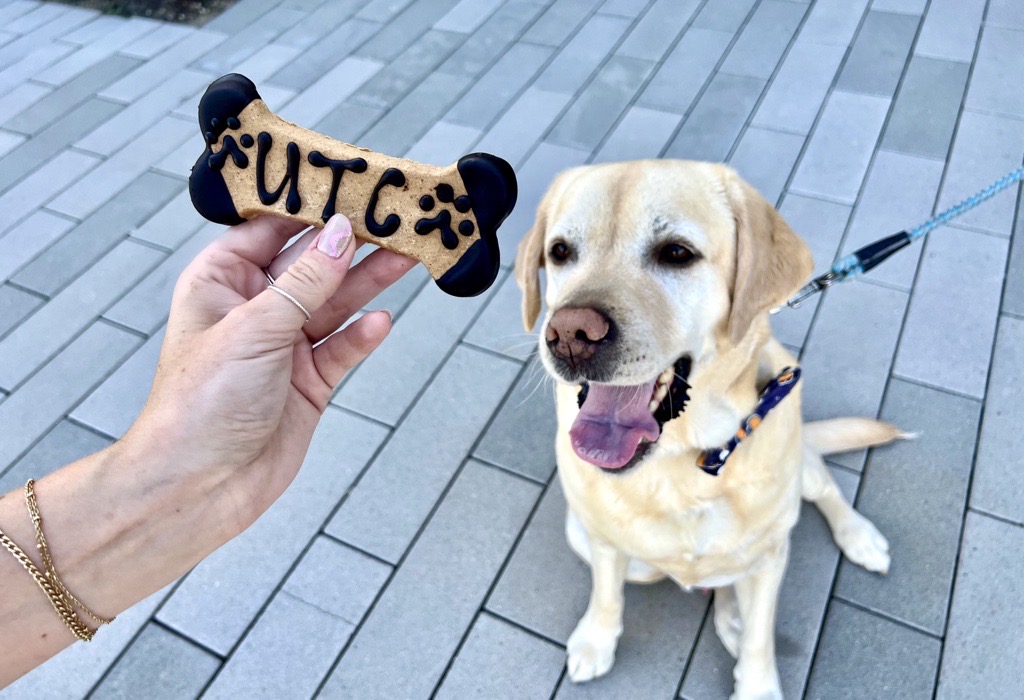 Dog-Friendly Dining at UTC