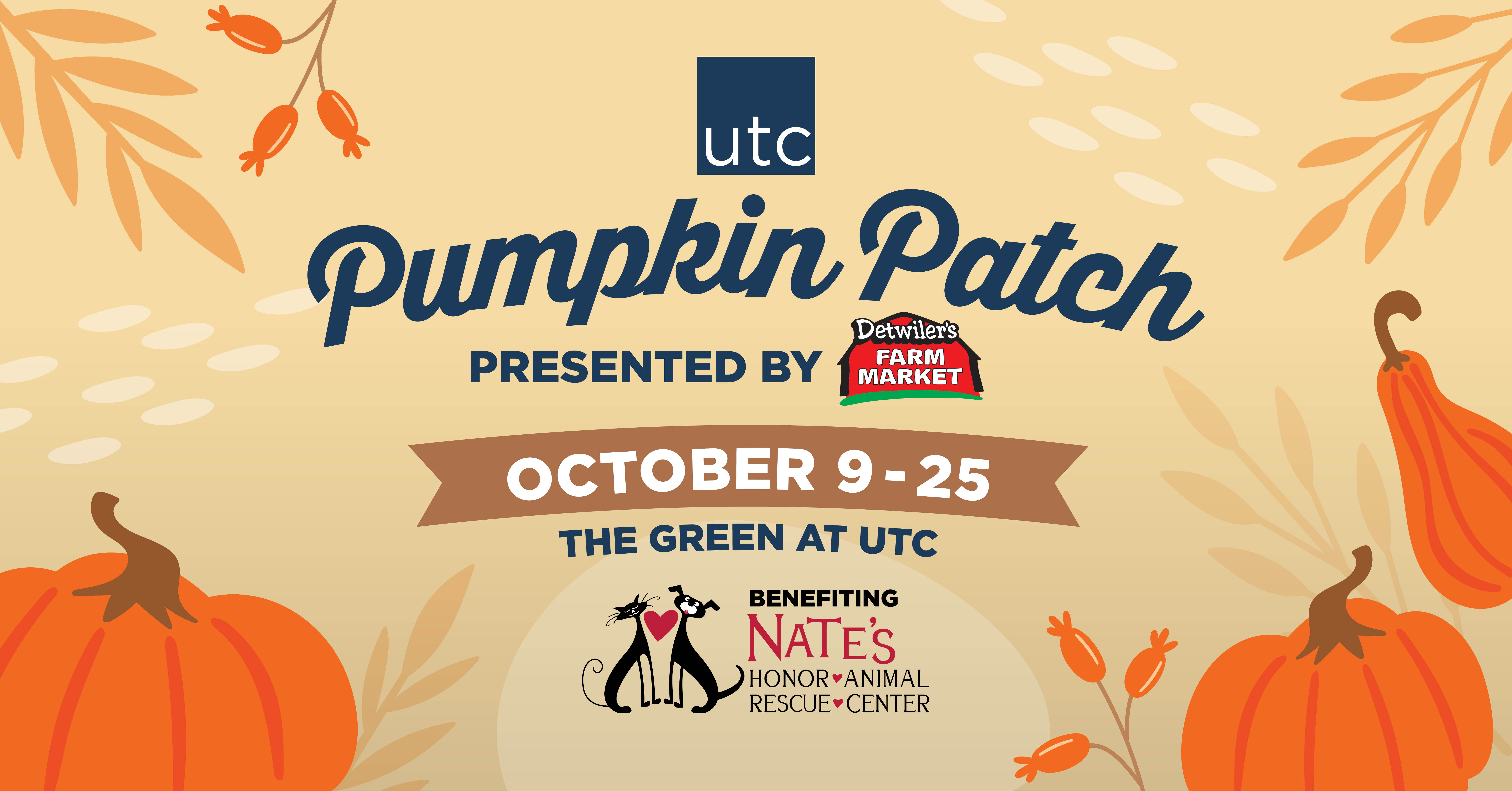 Pumpkin Patch at UTC
