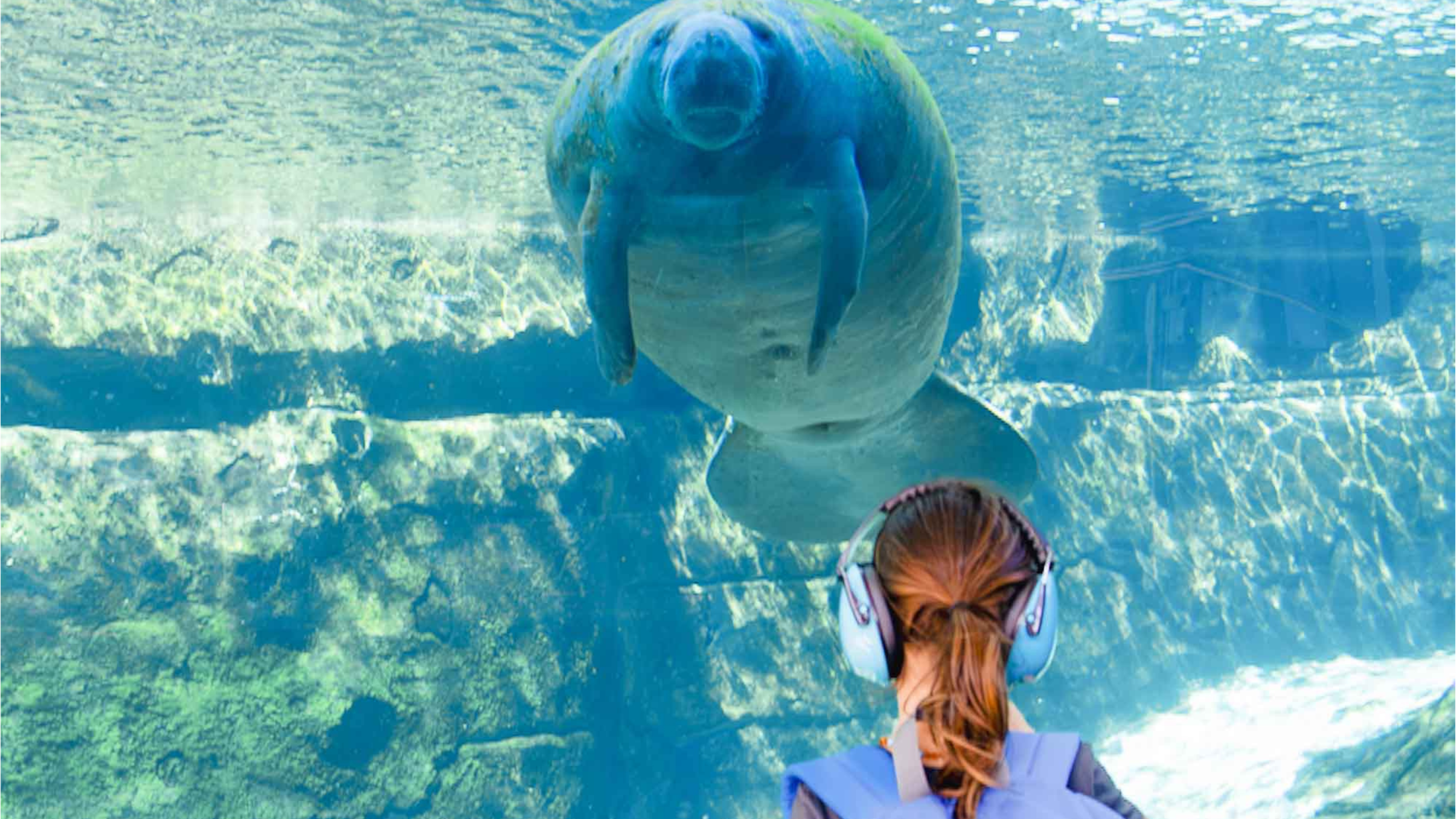 Sensory SEA at Mote SEA
