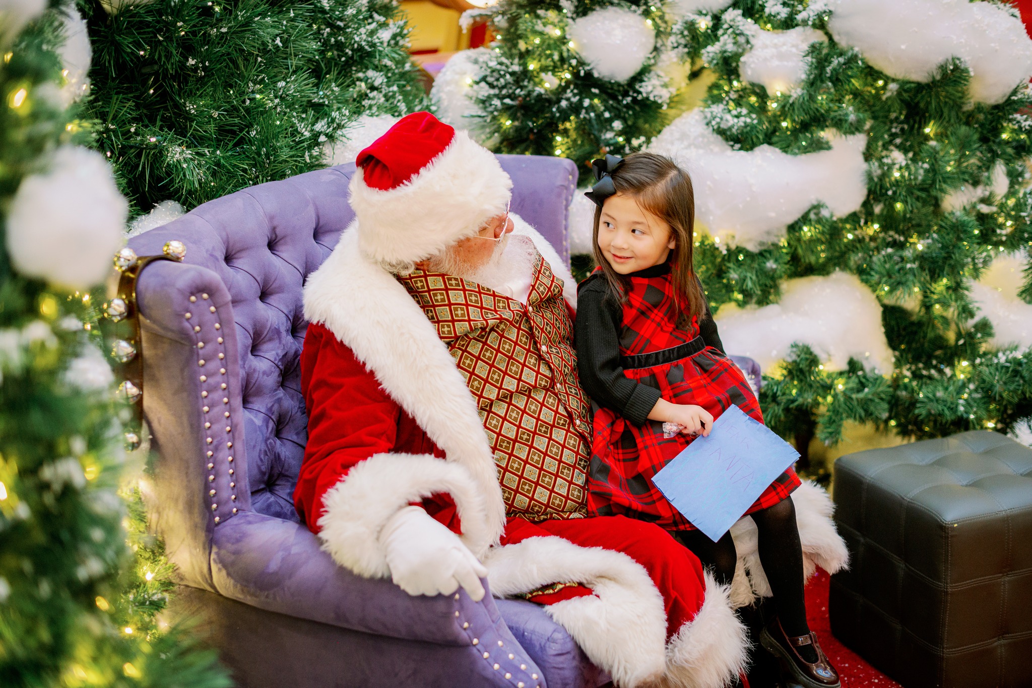 Sanat’s Flight Academy