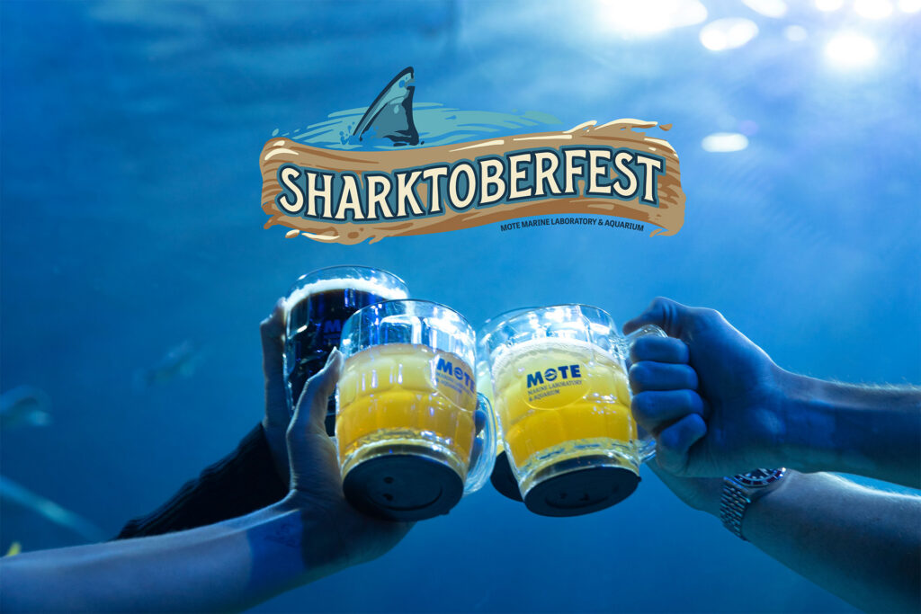 Sharktoberfest at Mote SEA